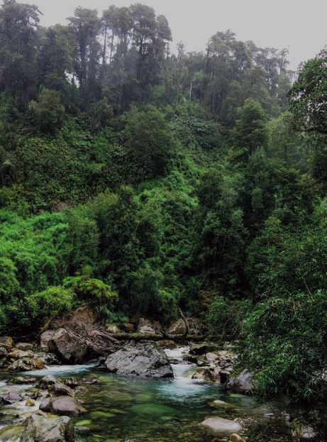 El río Sin Nombre corre libre y transparente, envuelto en la exhuberante vegetación.